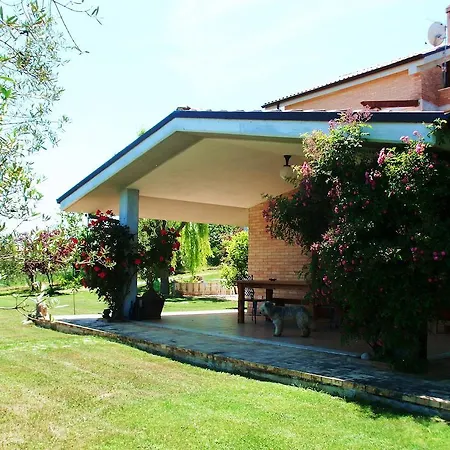 Bed & Breakfast Naira