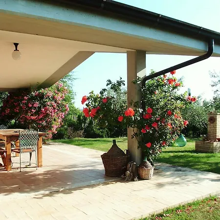 Naira Bed & Breakfast Spoltore
