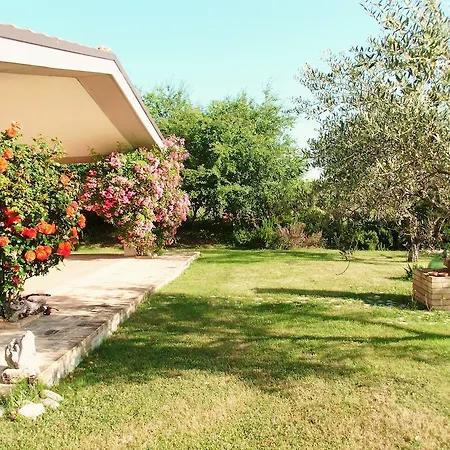 Naira Bed & Breakfast Spoltore